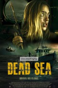 사해 Dead Sea ,2024.1080p.KORSUB.WEBRip.H264.AAC