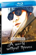 천하무적 A.World.Without.Thieves.2004.1080p.BluRay.x264.AAC5.1-[YTS.MX]
