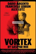 소용돌이 Vortex (2021) [1080p] [BluRay] [5.1] [YTS.MX]