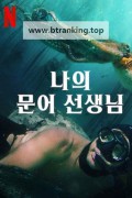 나의 문어 선생님 My Octopus Teacher ,2020.1080p.KORSUB.WEBRip.H264.AAC