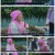 김영철의 동네 한 바퀴.E140.211016.1080p.H264-F1RST