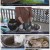 한국인의 밥상.E574.220901.1080p.H264-F1RST