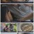 팔도밥상.E276.220903.1080p.H264-F1RST