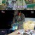 내고향 스페셜.E2412.231214.720p-NEXT