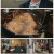 다큐 인사이트.E173.240215.1080p.H264-F1RST