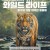 와일드 라이프 지구의 가장 희귀한 동물들 E01~E06 END [자체자막] 2025.1080p.KORSUB.WEBRip.H264.AAC