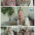 인간극장.E6161.250801.1080p-F1RST