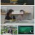 그것이 알고 싶다.E1454.250802.1080p-F1RST