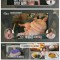 썸네일 이미지