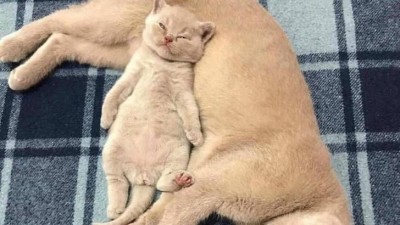 누가봐도 얘가 얘 낳음