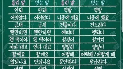 자주 틀린다는 맞춤법.jpg
