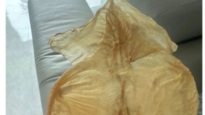 알리 마른오징어 구매 후기