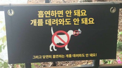 의외로 데리고 다니면 안돼는 개