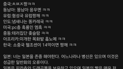 커뮤에서 나타나는 각국 나라별 반응