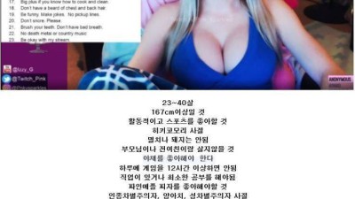어느 외국 여성스트리머의 이상형 기준