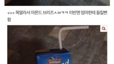 냠냠 야식먹는 판녀 레전드