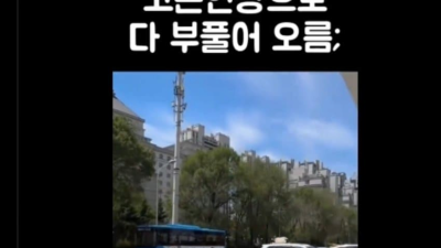 고온현상으로 부풀어 오름 ㄷㄷ