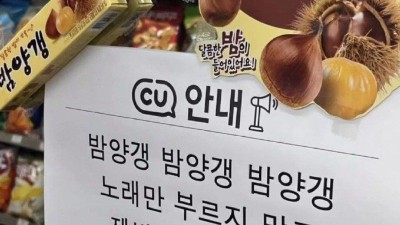 밤양갱 근황