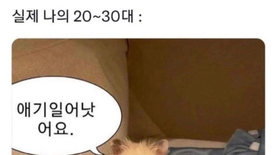 어릴때 생각한 2030 vs 실제 2030