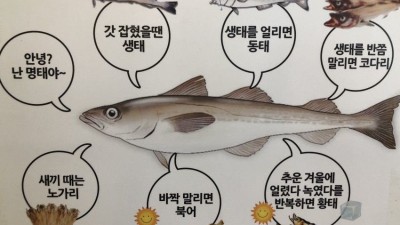이름이 7가지인 생선