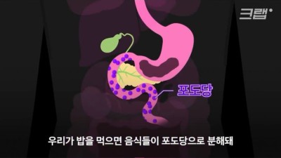 내가 제로 음료를 마시는 이유