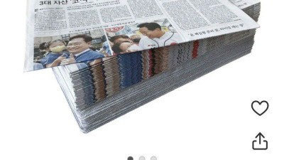 배변패드 근황