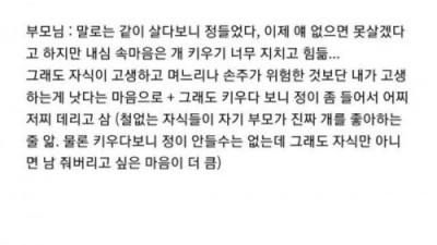 2030 견주가 개 파양하는 패턴