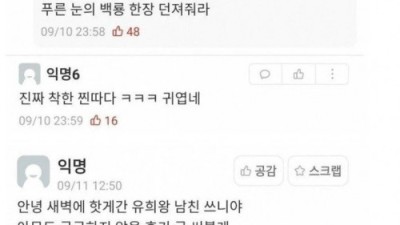 남친이 디씨하는 걸 알게된 여친