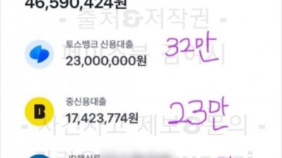 월급 270인데 고정지출이 80%인 여시