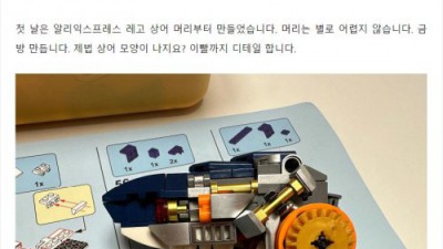 알리 짭퉁 레고 상어 퀄리티 근황