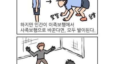 쉽게 메시되는법 알려준다