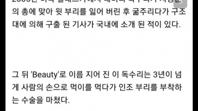 대한민국에 퍼졌던 헛소리 레전드