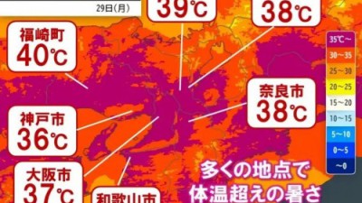 나약한 한국인들