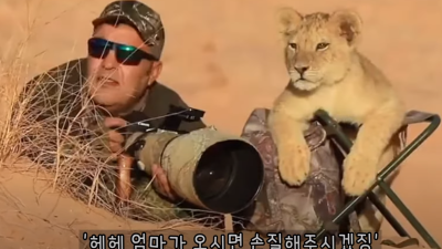한국 망해가는 중