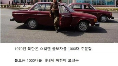 역사상 규모가 가장 컸던 차량 도난 사건