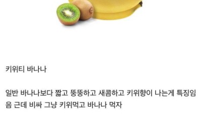 새로운 과일들