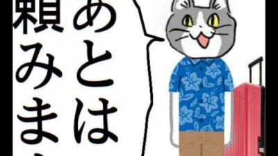 더워서 휴가가는 좋았쓰 고양이