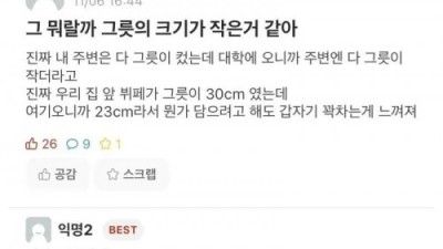 그릇의 크기가 작은거 같아