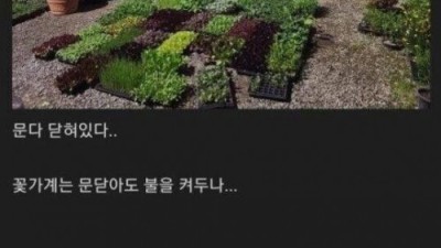 유부남 잊어먹은 결혼기념일 후기 ㄷㄷ