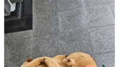 가방샀는데 대가리는 장식이냐는 소리 들음