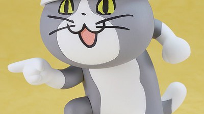 좋았쓰! 고양이 근황