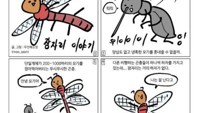 잠자리가 줄어드는 이유.