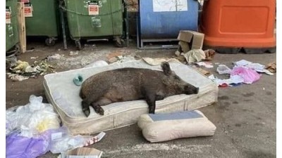 반찬 주러 자식 자취방에 온 엄마 시점