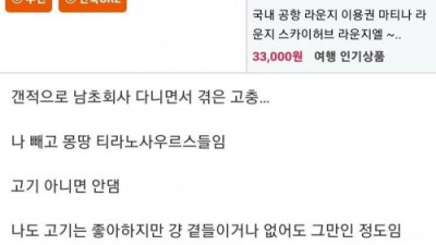 남초회사 특