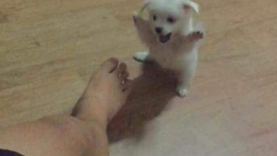 헉... 발이 대따커