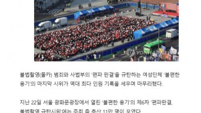 페미식 숫자 부풀리기