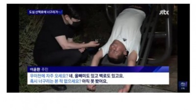 너구리와의 의리를 지킨 아저씨