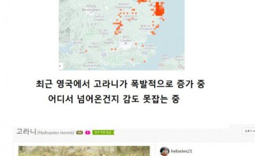 누가 영국에 고라니 풀어놓음