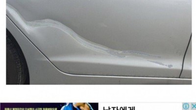 초보운전 차폭 감 잡는법