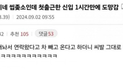 좆소 신입 사원 1시간만에 도망감